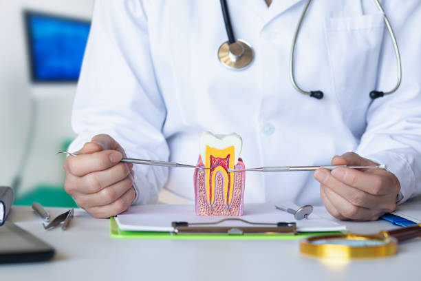 Best Emergency Dentist for Lost Fillings or Crowns in Brewster Heights, NY